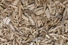 biomass boilers Hirn
