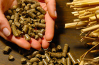 free Hirn biomass boiler quotes